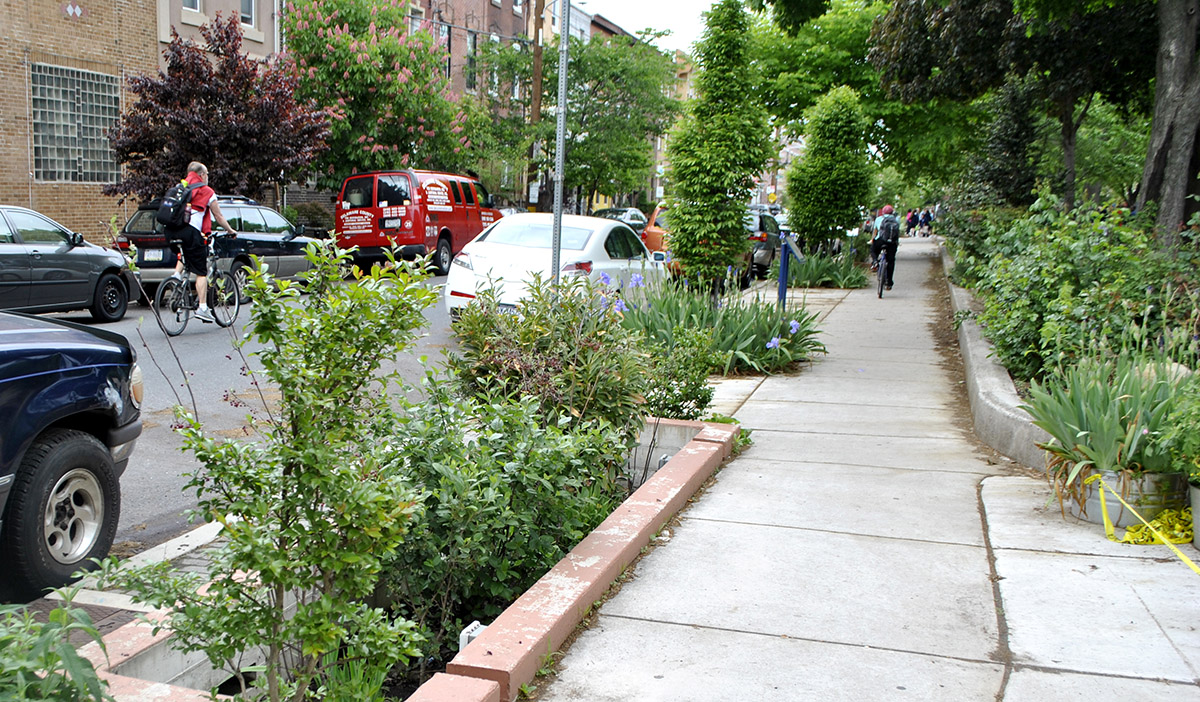 Example of green infrastructure