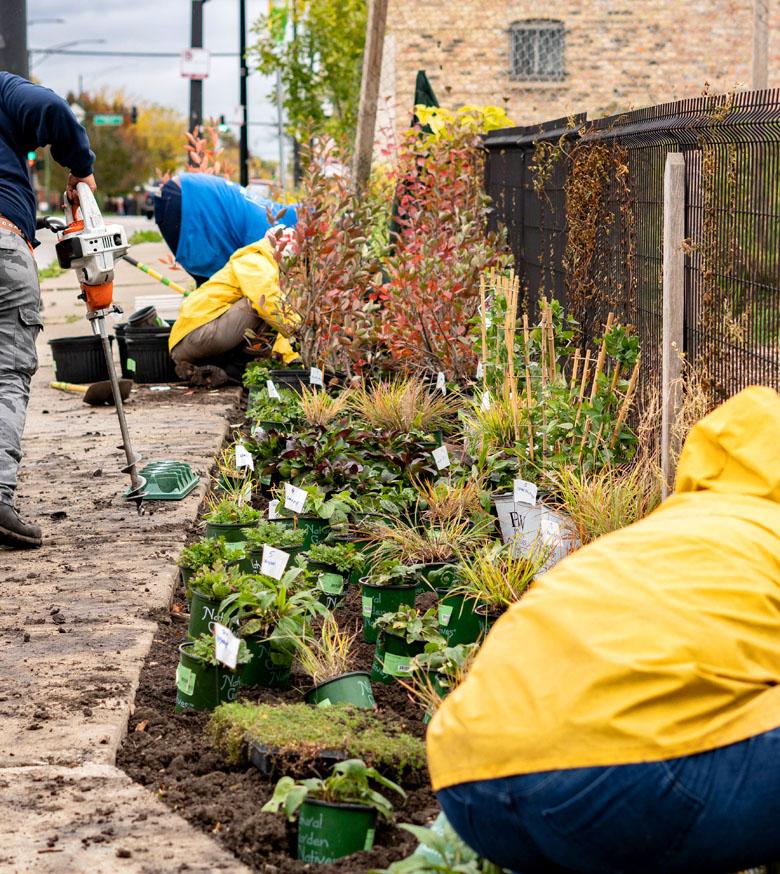 Greencorps, our labor partner, installs perennials at the site.