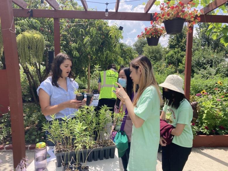 Lucy Geglio of CNT educated spoke with attendees about milkweed and helped distribute free samples